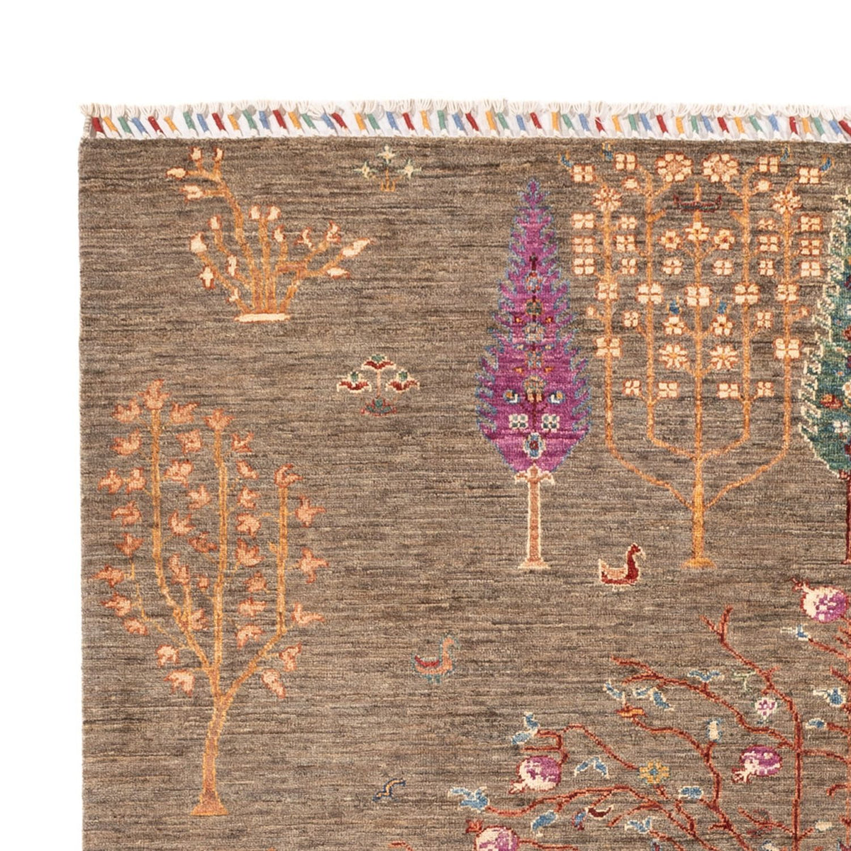 Ziegler Rug - Ariana - 238 x 173 cm - olive green