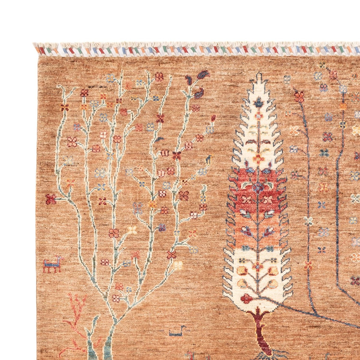 Ziegler Rug - Ariana - 237 x 173 cm - light beige