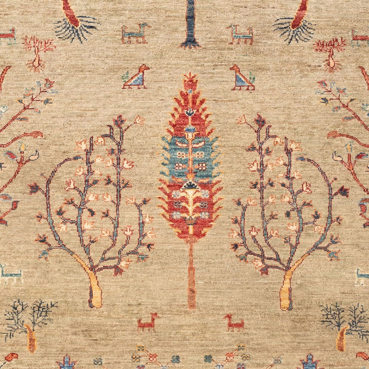 Ziegler Rug - Ariana - 235 x 172 cm - light grey