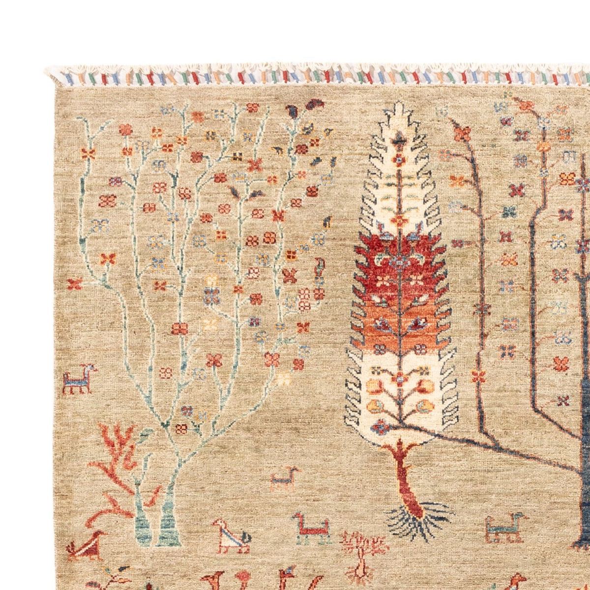 Ziegler Rug - Ariana - 235 x 172 cm - light grey