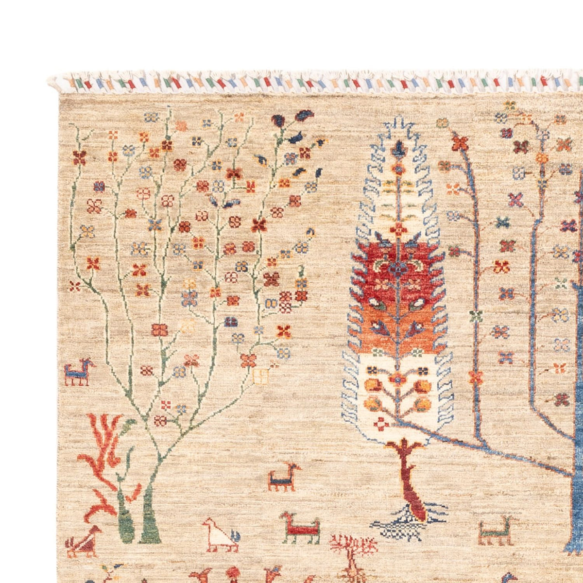 Ariana Rug 168x232cm - Oriental Rug