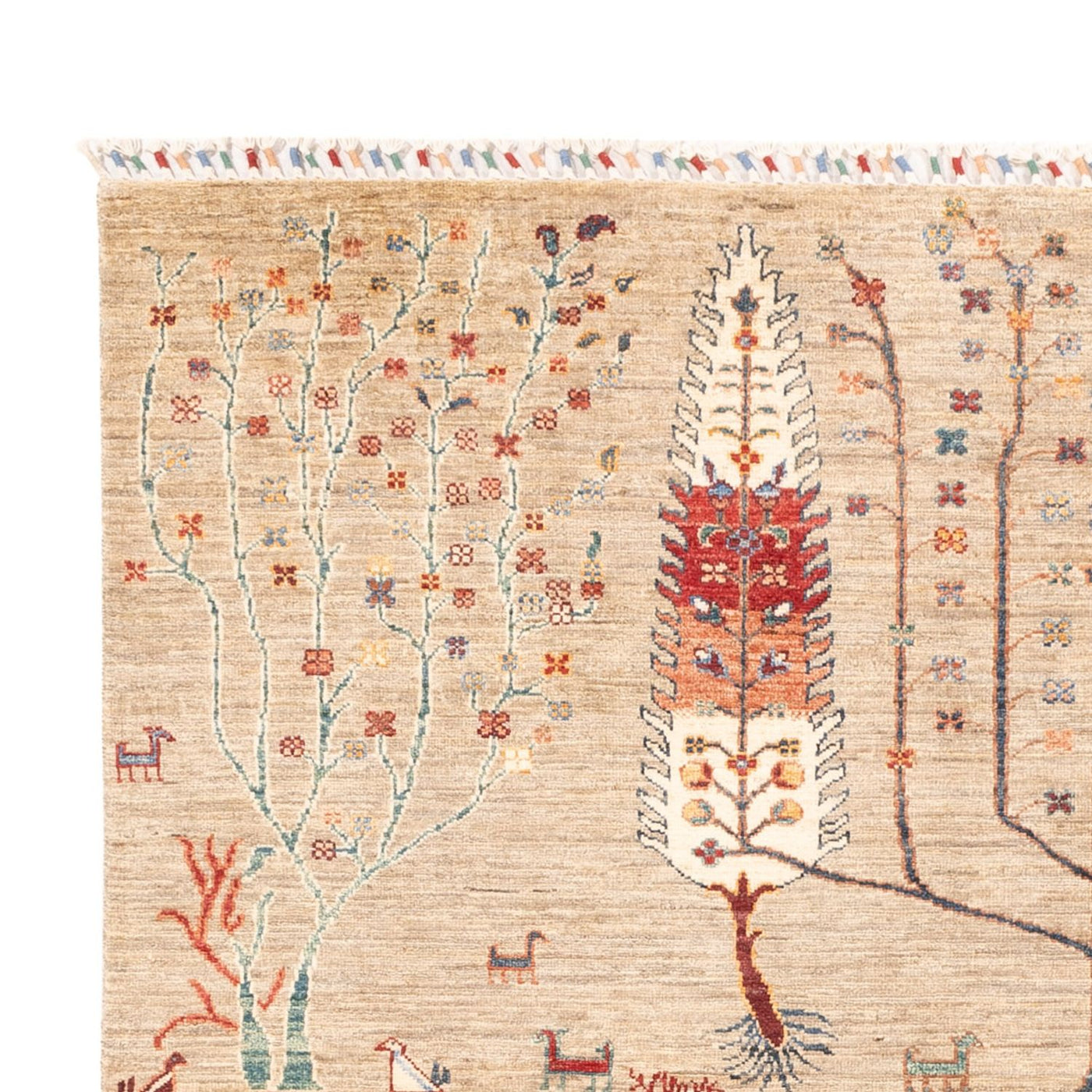 Ariana Rug 235x169cm - Oriental Rug