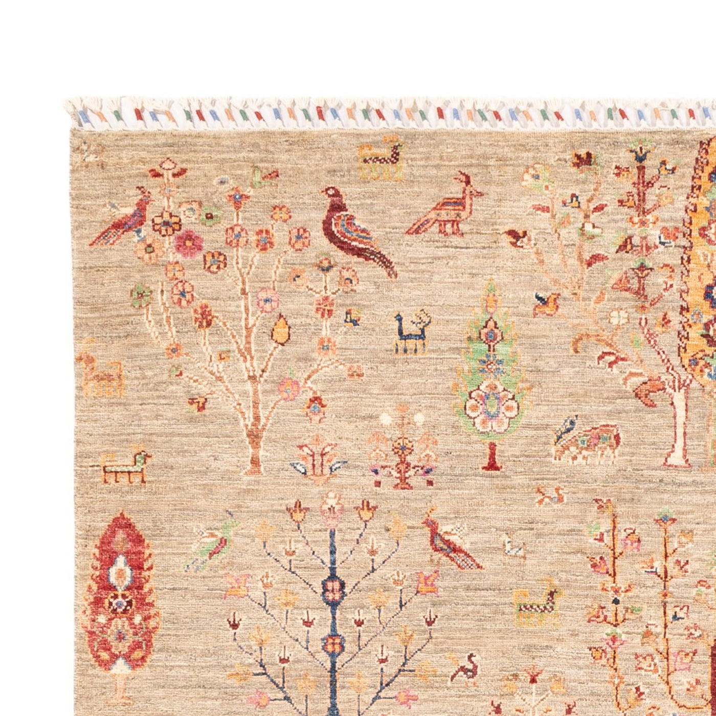 Ariana Rug 242x169cm - Oriental Rug