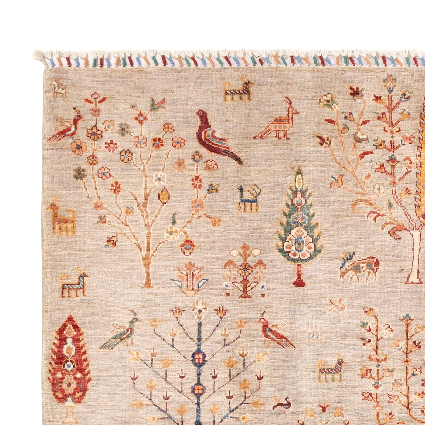 Ariana Rug 243x177cm - Oriental Rug