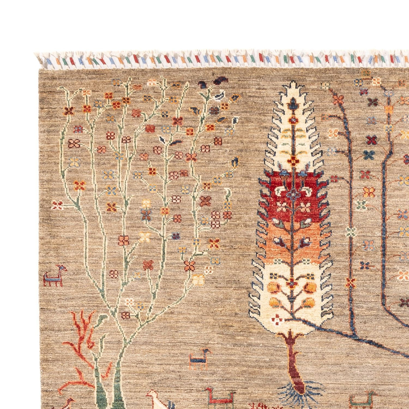 Ariana Rug 240x169cm - Oriental Rug
