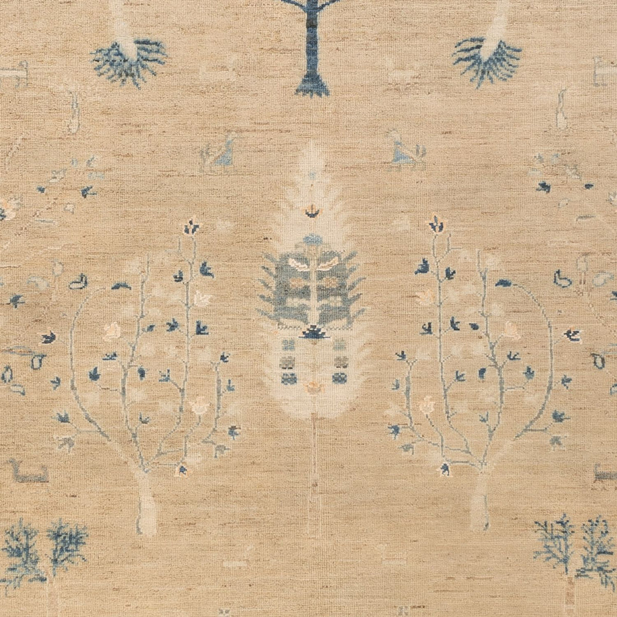 Ziegler Rug - Ariana - Royal - 241 x 168 cm - sand