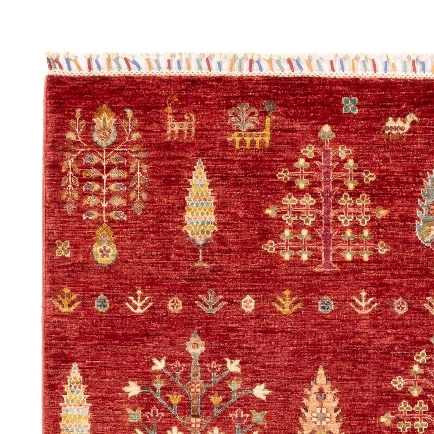 Ariana Rug 242x168cm - Oriental Rug