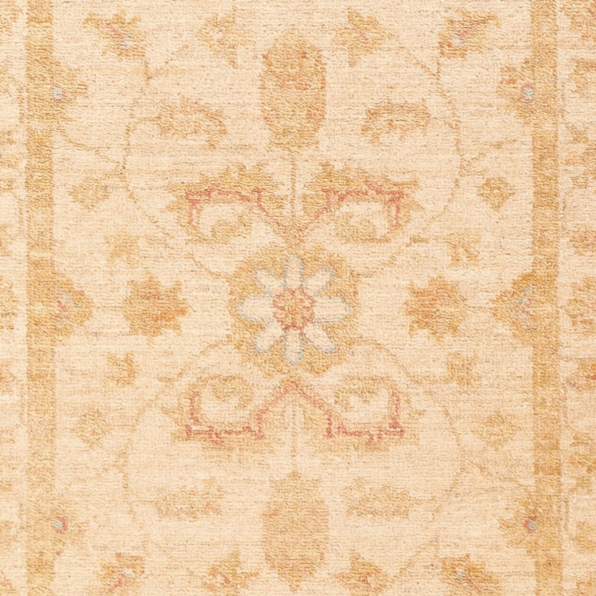 Runner Ziegler Rug - 199 x 65 cm - beige