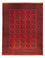 Afghan Rug - Filpa - 401 x 309 cm - red