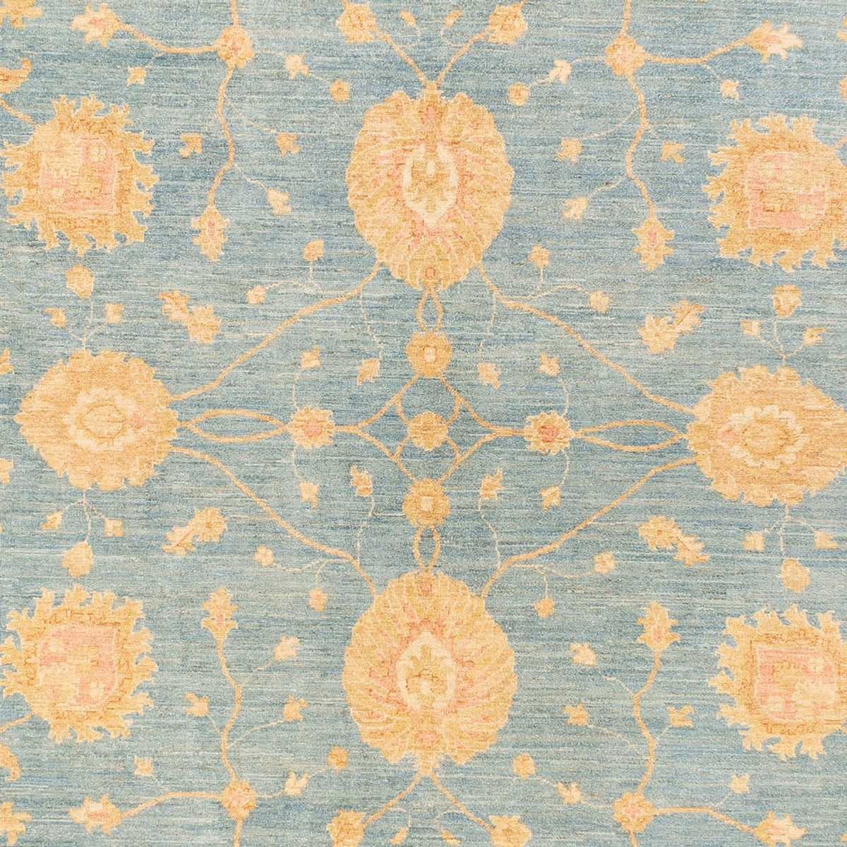 Ziegler Rug - 391 x 295 cm - blue