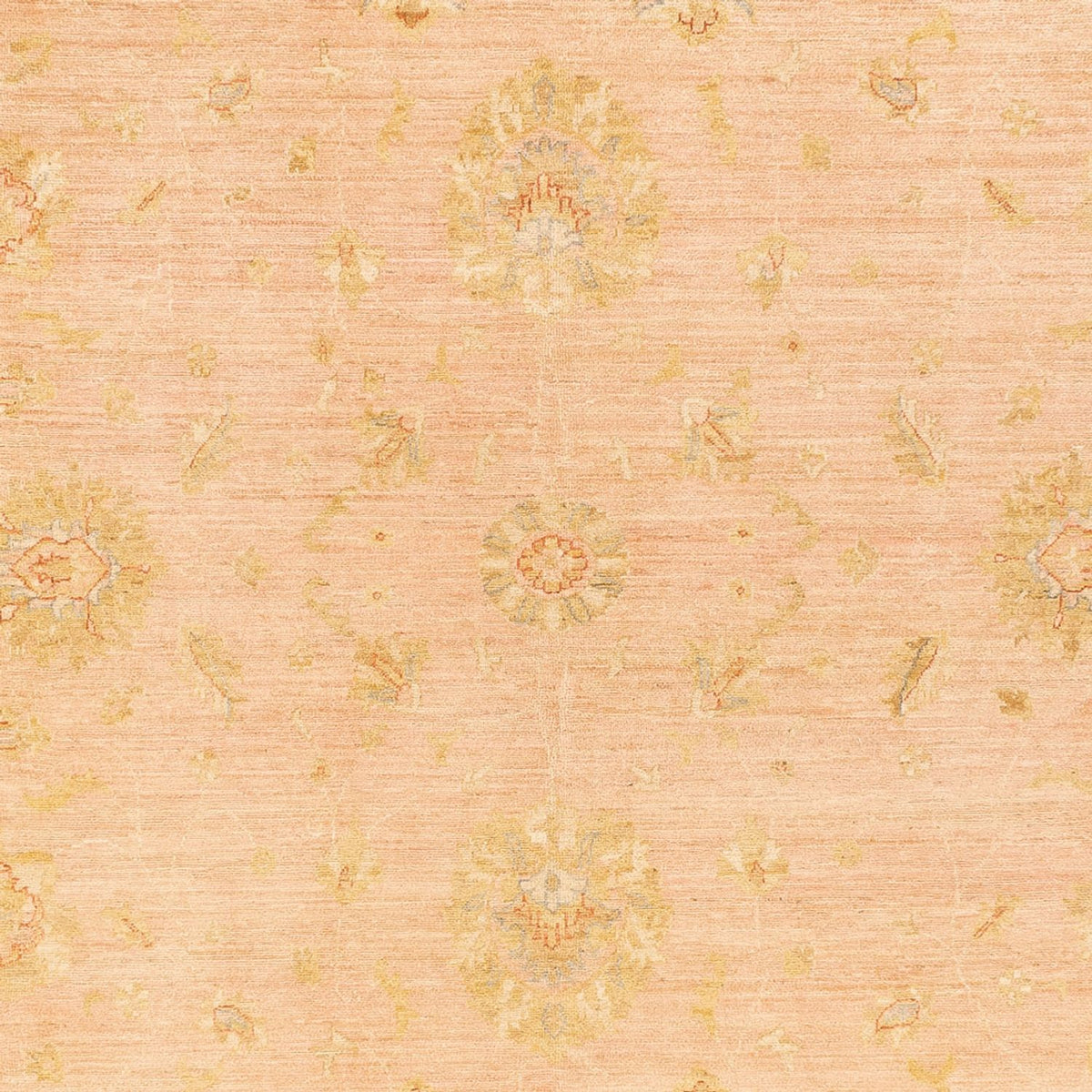 Ziegler Rug - 393 x 300 cm - beige