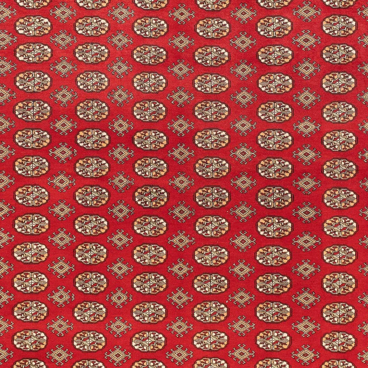 Afghan Rug - Bukhara - 418 x 310 cm - light red