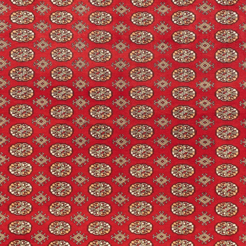 Afghan Rug - Bukhara - 418 x 310 cm - light red