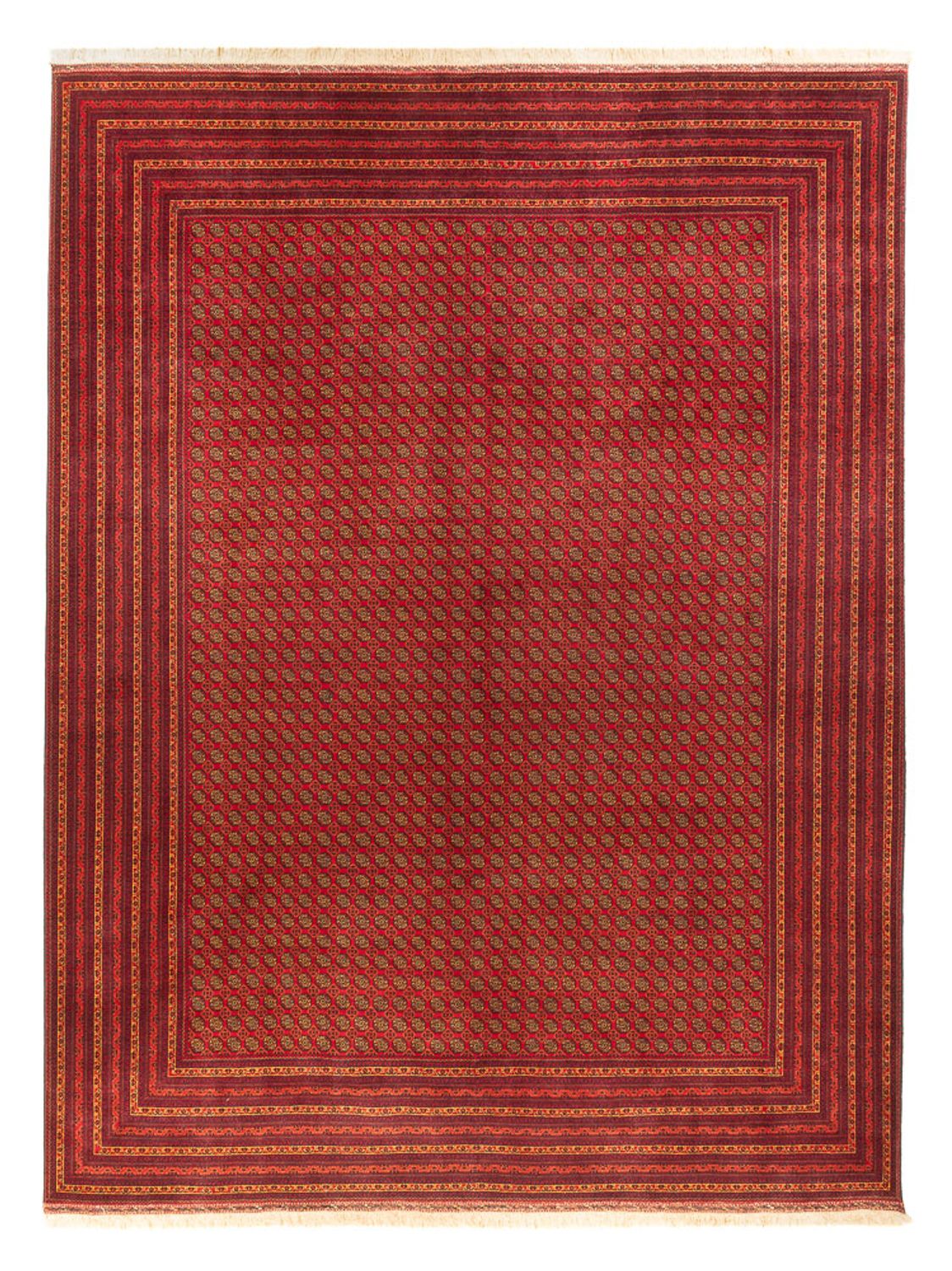 Afghan Rug - Royal - 389 x 295 cm - rust