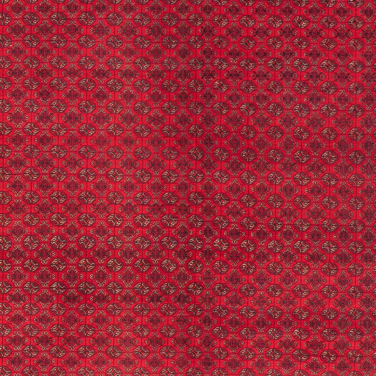 Afghan Rug - Royal - 404 x 294 cm - red