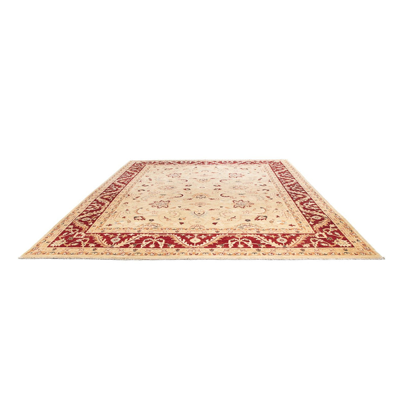 Ziegler Rug - 383 x 271 cm - beige
