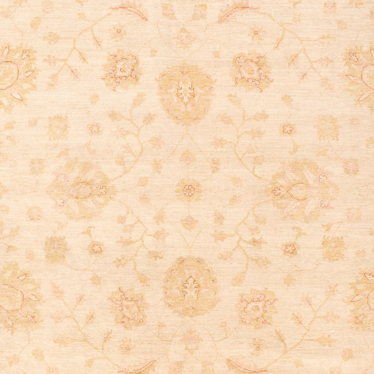 Ziegler Rug - 365 x 270 cm - beige