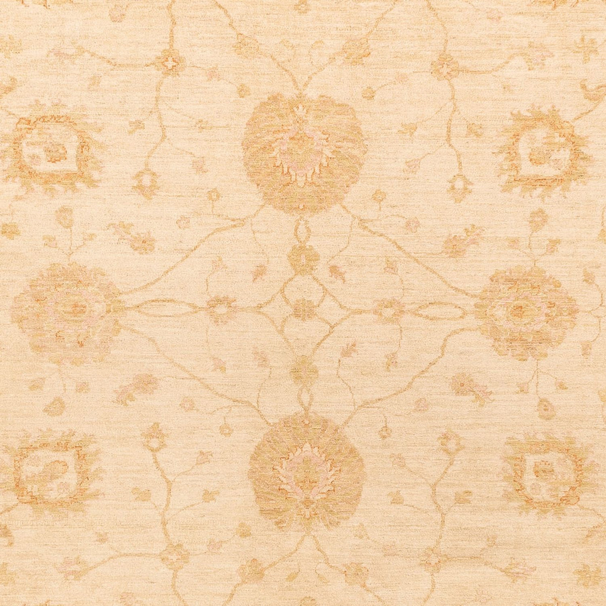 Ziegler Rug - 362 x 275 cm - beige
