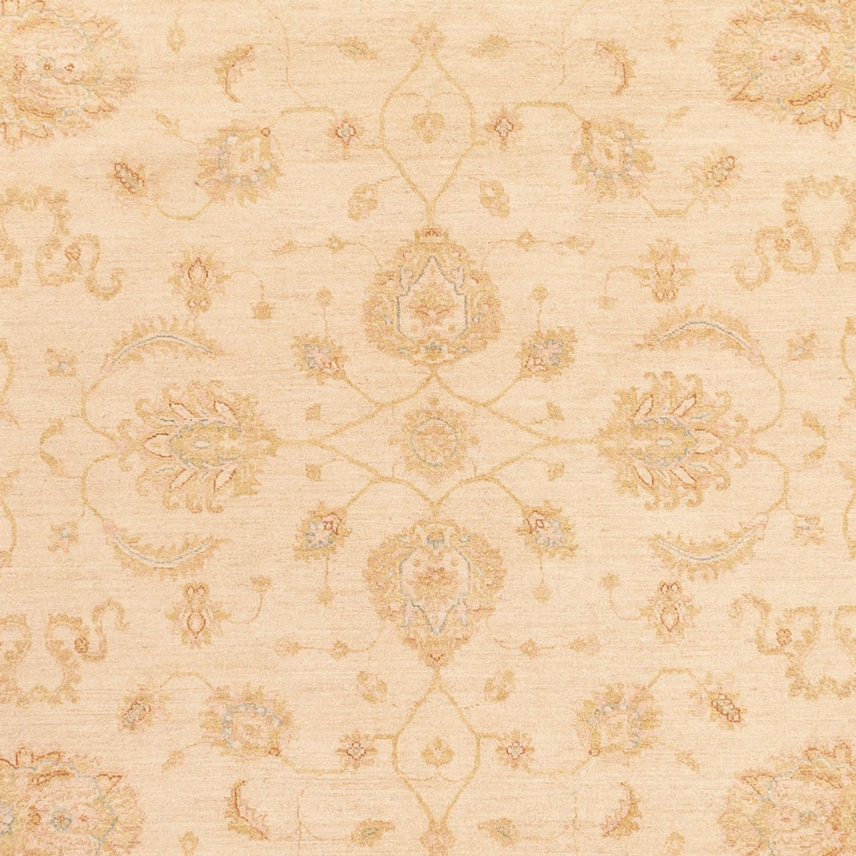 Ziegler Rug - 364 x 277 cm - beige
