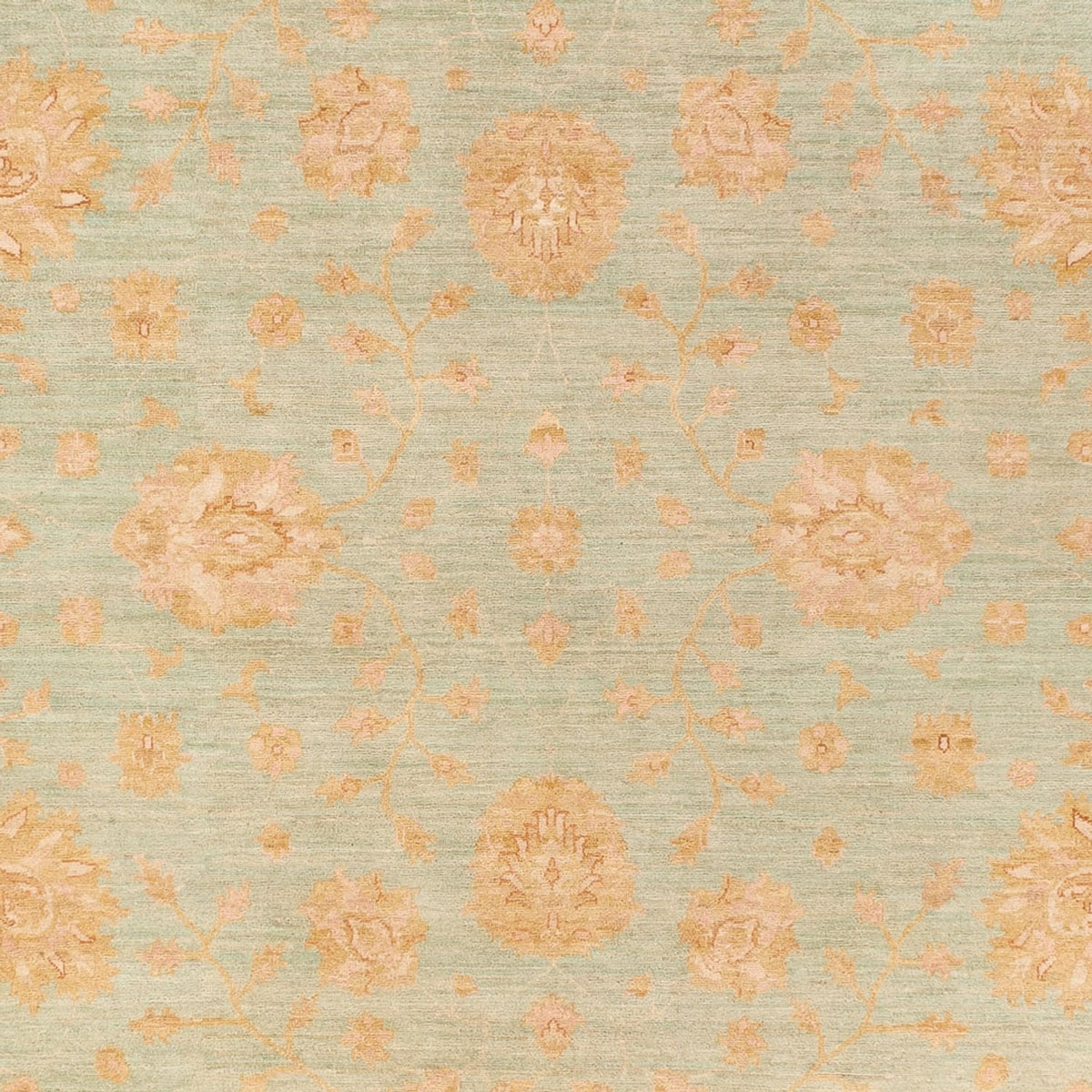 Ziegler Rug - 372 x 272 cm - light blue