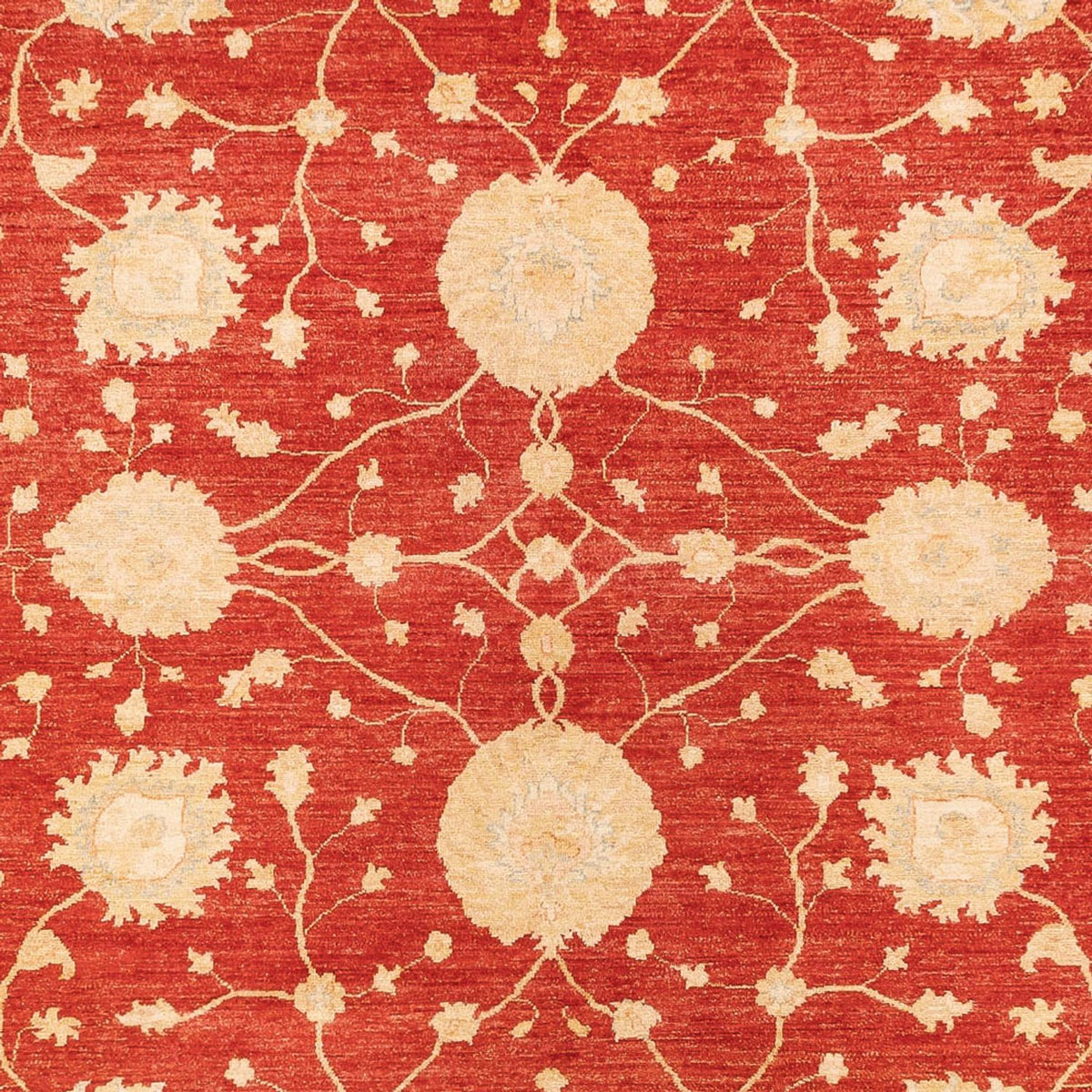 Ziegler Rug - 367 x 277 cm - red