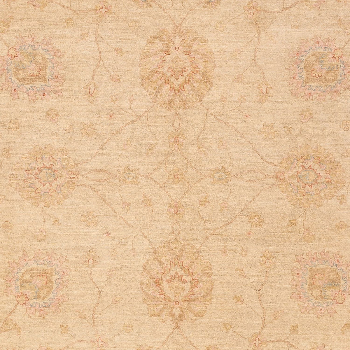 Ziegler Rug - 368 x 274 cm - dark beige