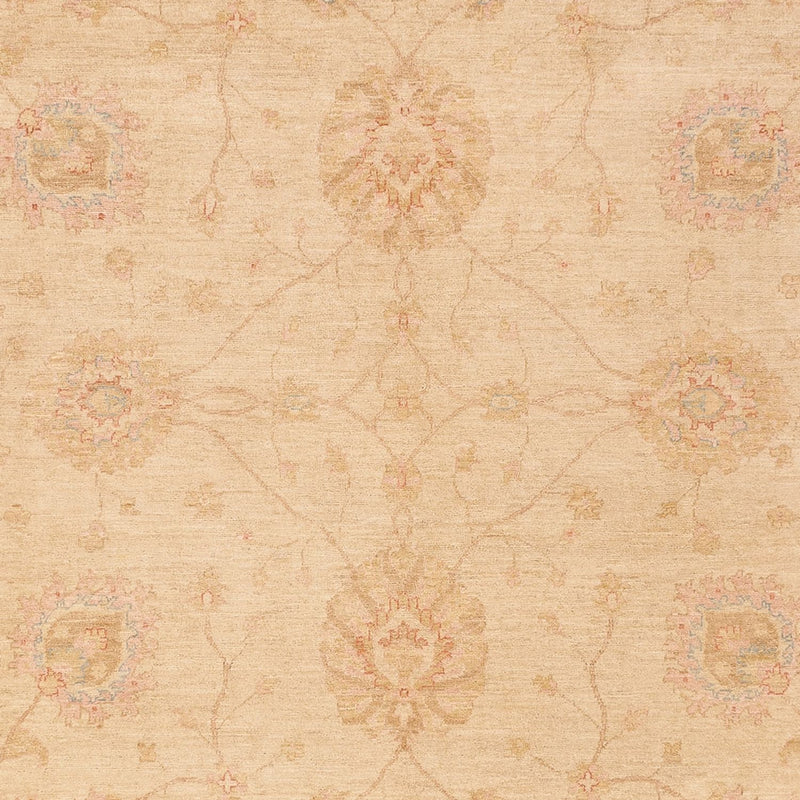 Ziegler Rug - 368 x 274 cm - dark beige