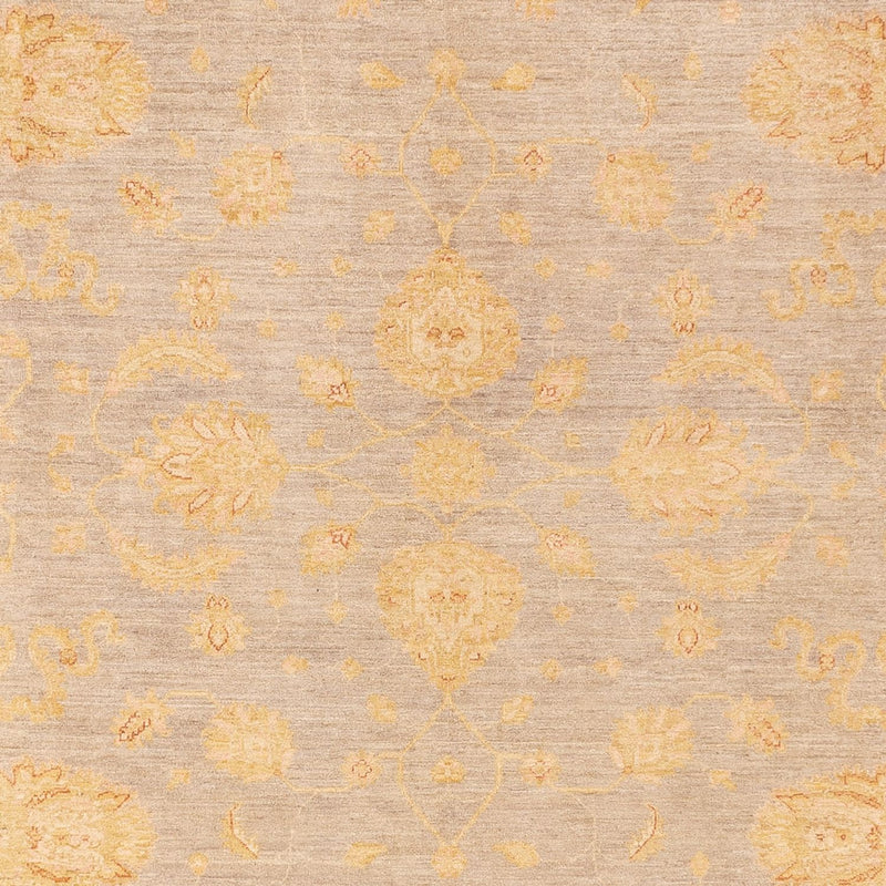 Ziegler Rug - 360 x 271 cm - dark beige