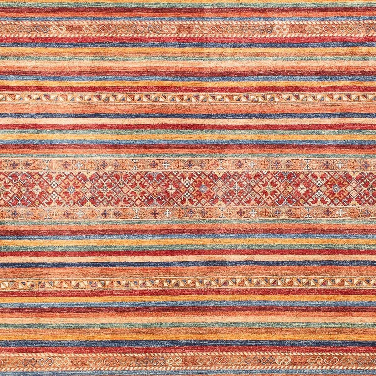 Ziegler Rug - Shal - 378 x 278 cm - multicolored