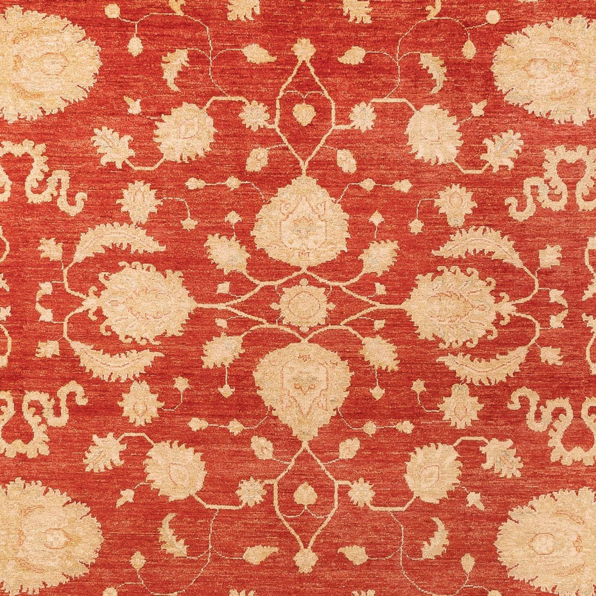 Ziegler Rug - 361 x 272 cm - red