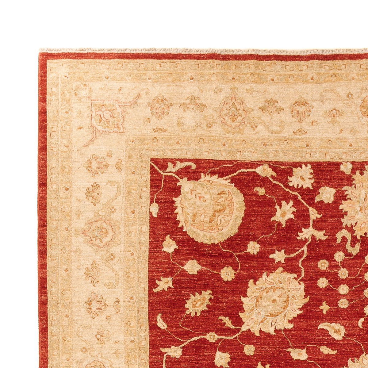 Ziegler Rug 268x360cm - Oriental Rug