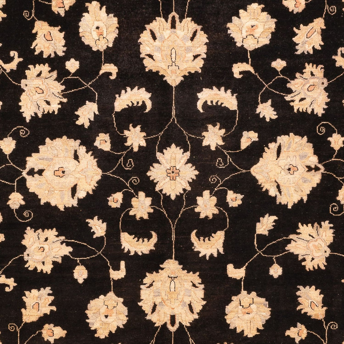 Ziegler Rug - 360 x 276 cm - black