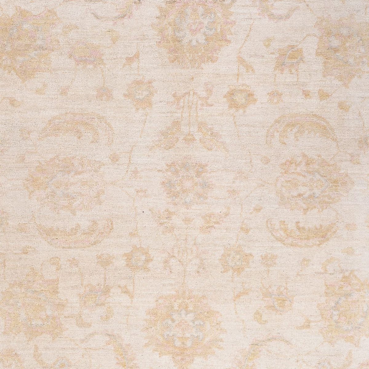 Ziegler Rug - 240 x 162 cm - cream