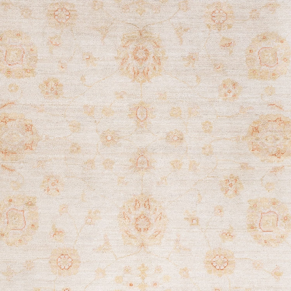 Ziegler Rug - 240 x 173 cm - cream