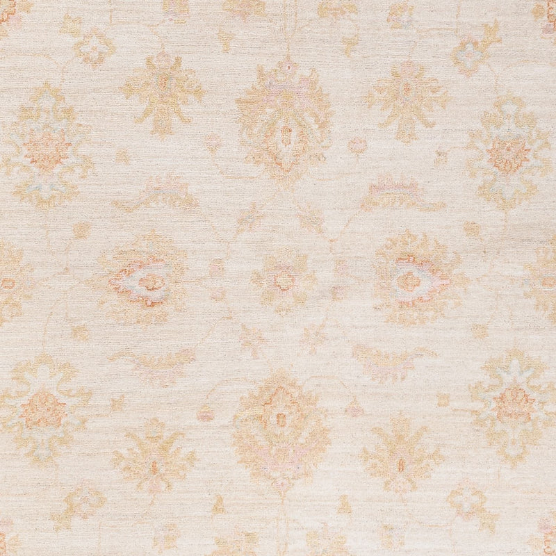 Ziegler Rug - 257 x 173 cm - cream