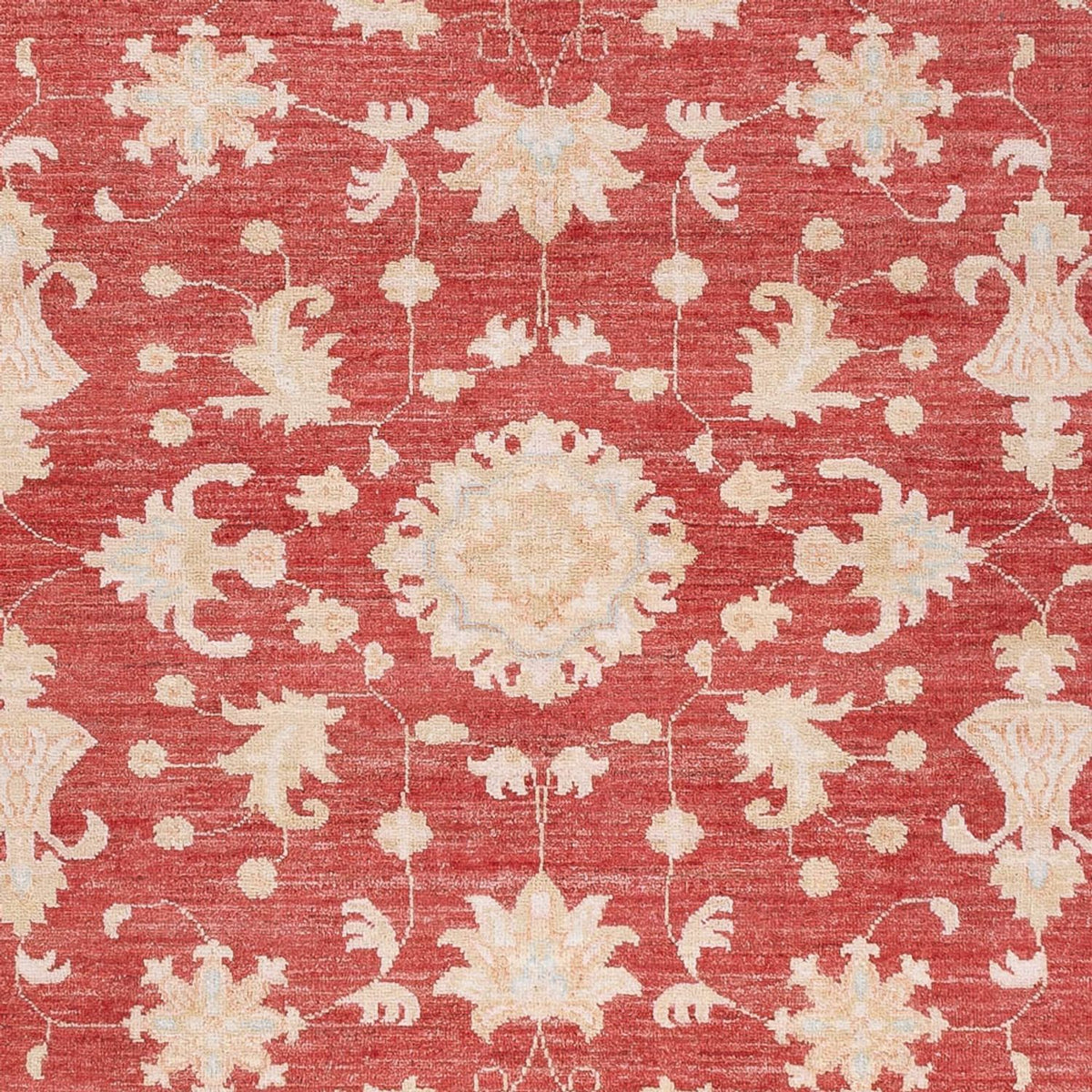Ziegler Rug - 227 x 172 cm - red