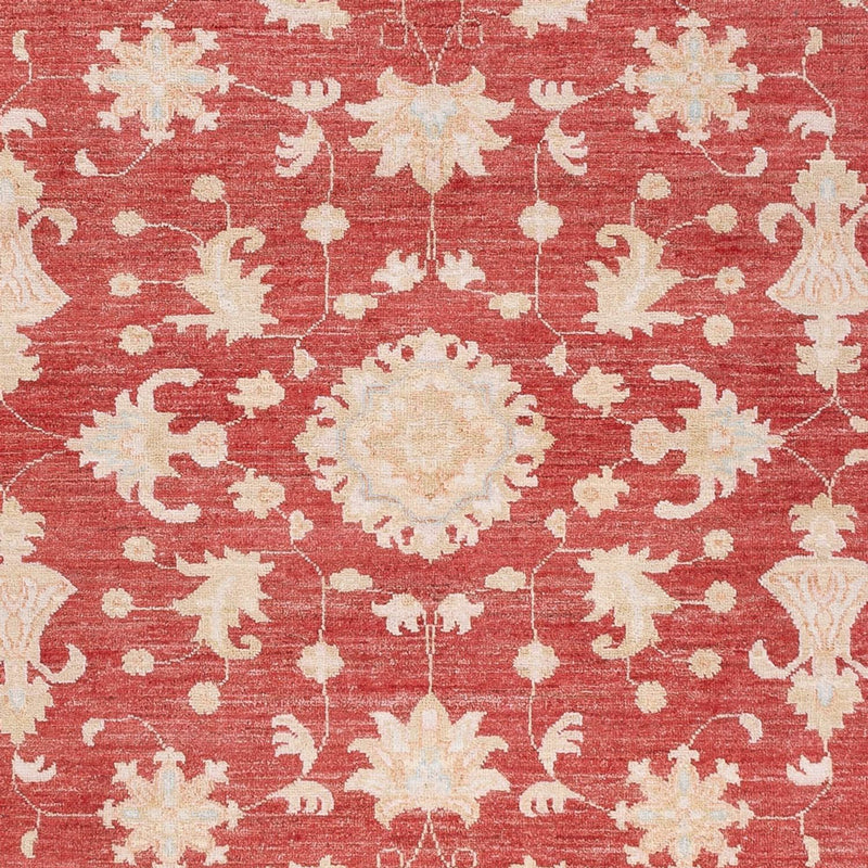 Ziegler Rug - 227 x 172 cm - red