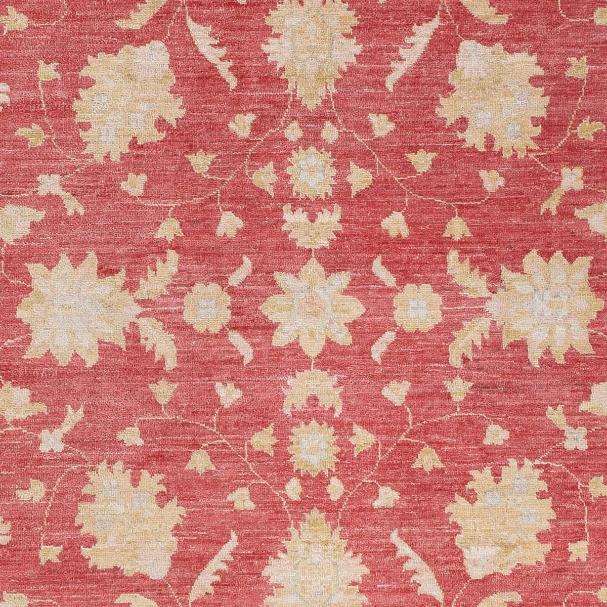 Ziegler Rug - 234 x 169 cm - red