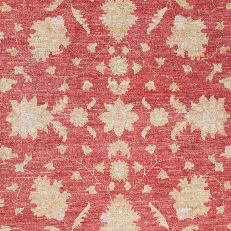 Ziegler Rug - 234 x 169 cm - red