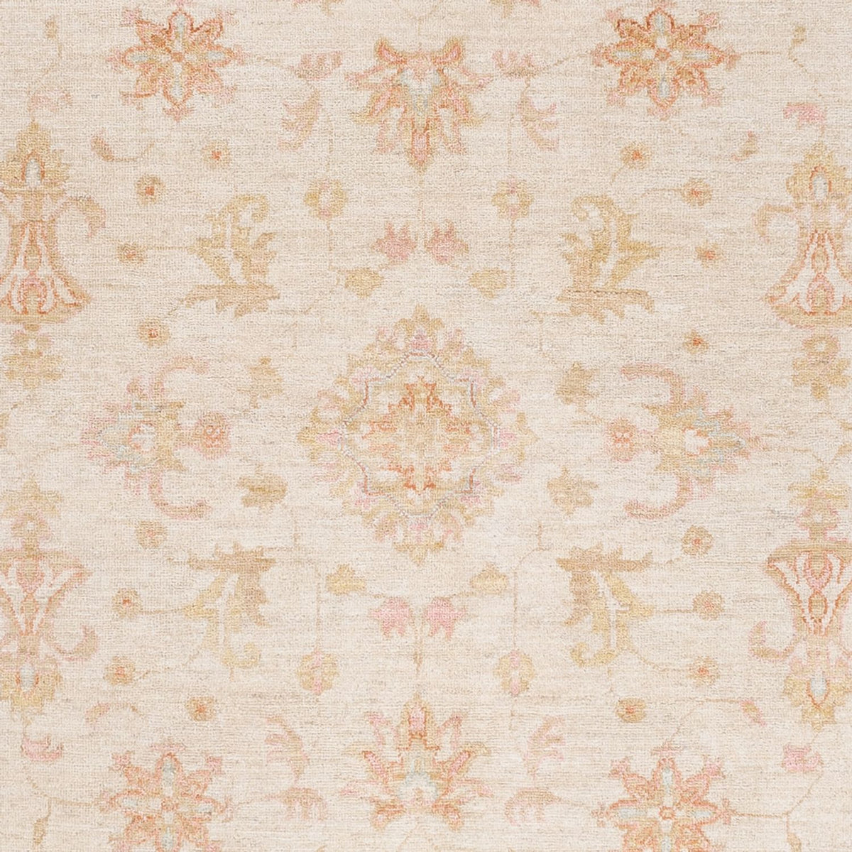 Ziegler Rug - 236 x 176 cm - beige
