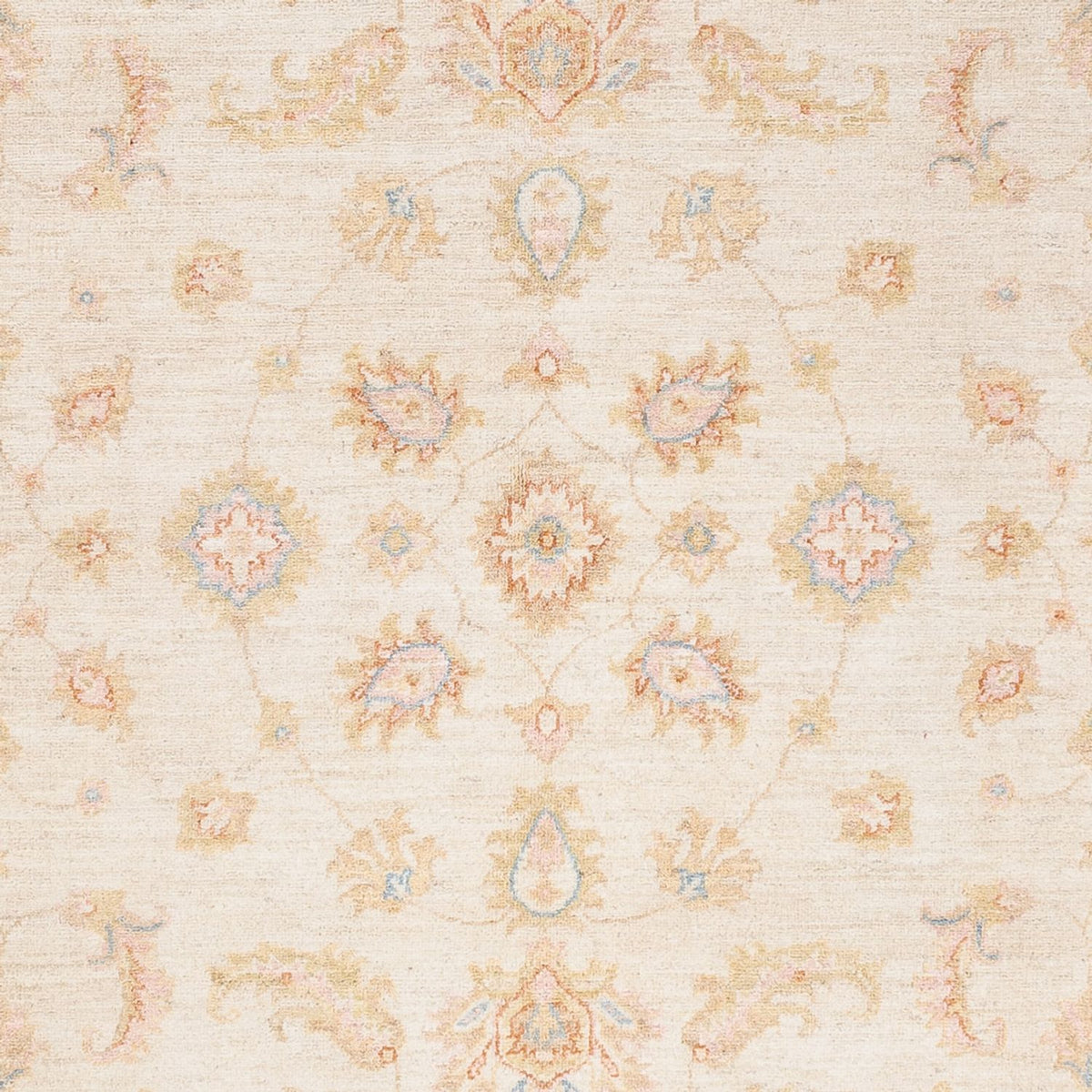 Ziegler Rug - 238 x 173 cm - cream