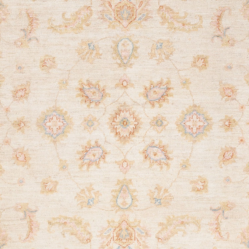 Ziegler Rug - 238 x 173 cm - cream