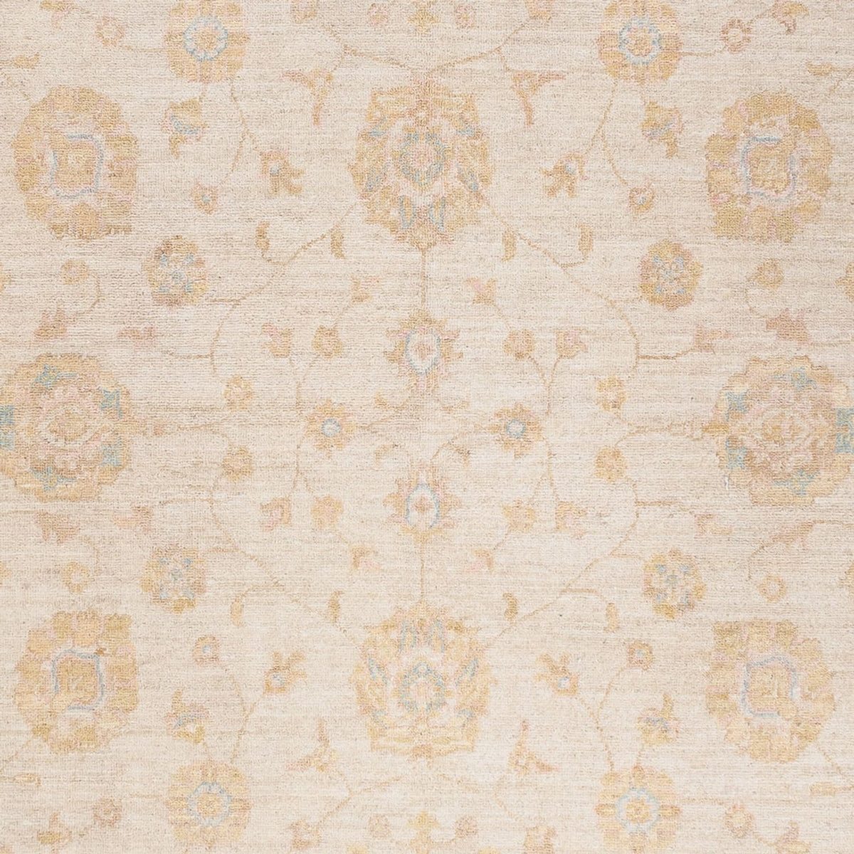 Ziegler Rug - 243 x 171 cm - cream