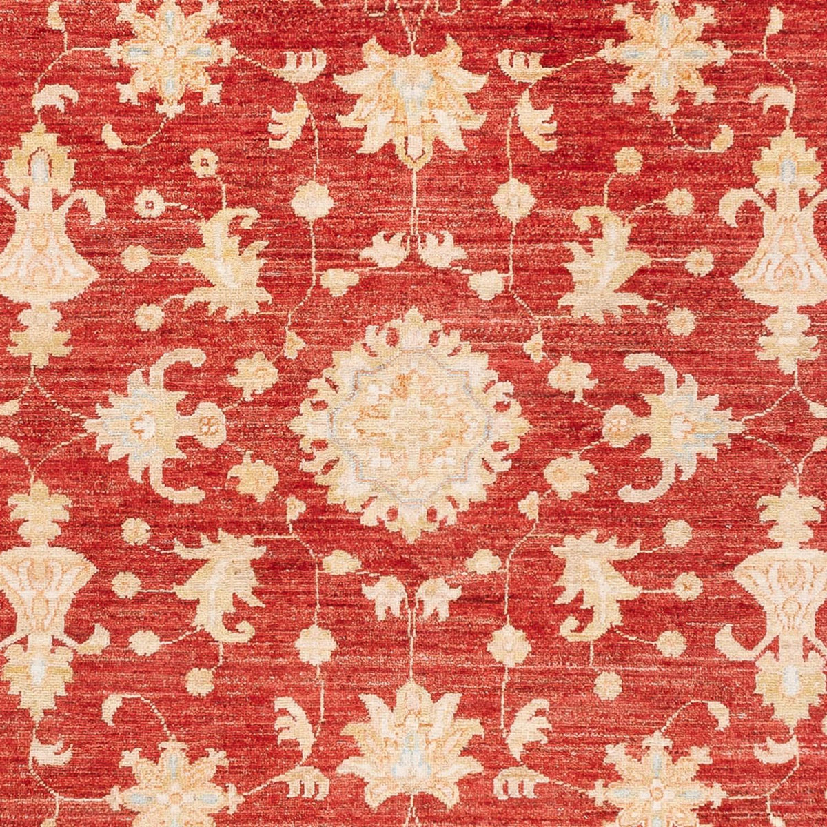 Ziegler Rug - 241 x 172 cm - red