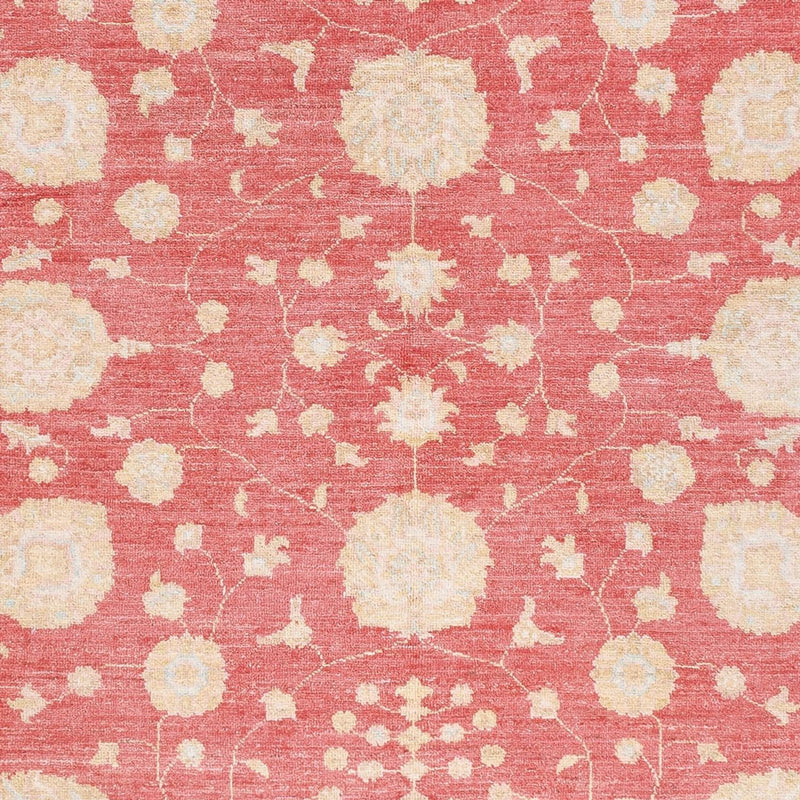 Ziegler Rug - 238 x 176 cm - red