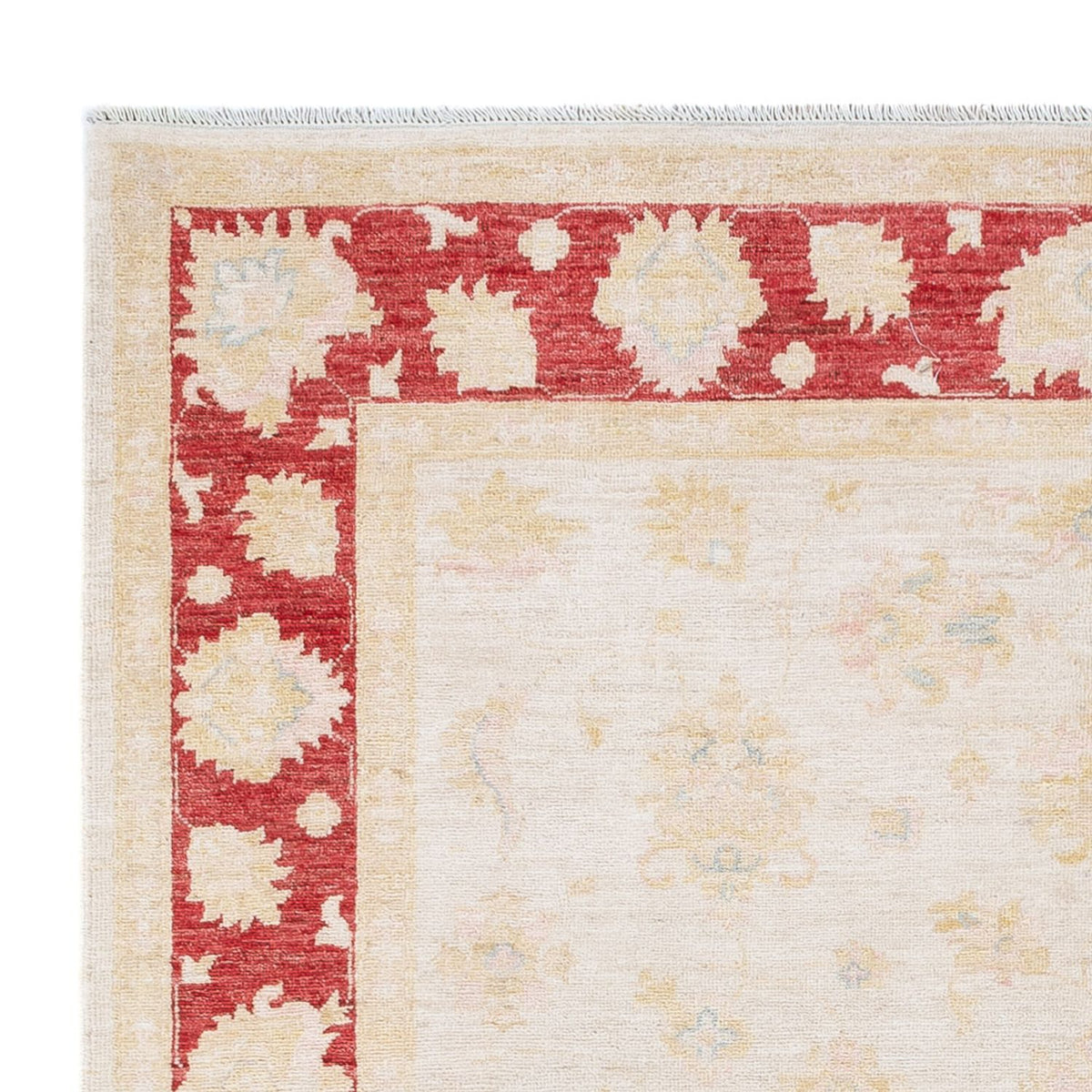 Ziegler Rug - 242 x 175 cm - cream