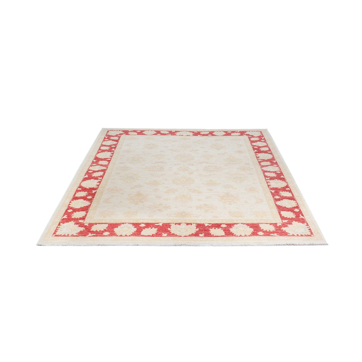 Ziegler Rug - 242 x 175 cm - cream