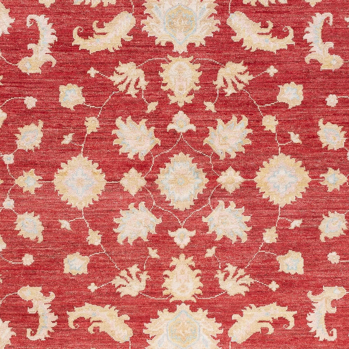 Ziegler Rug - 240 x 175 cm - red