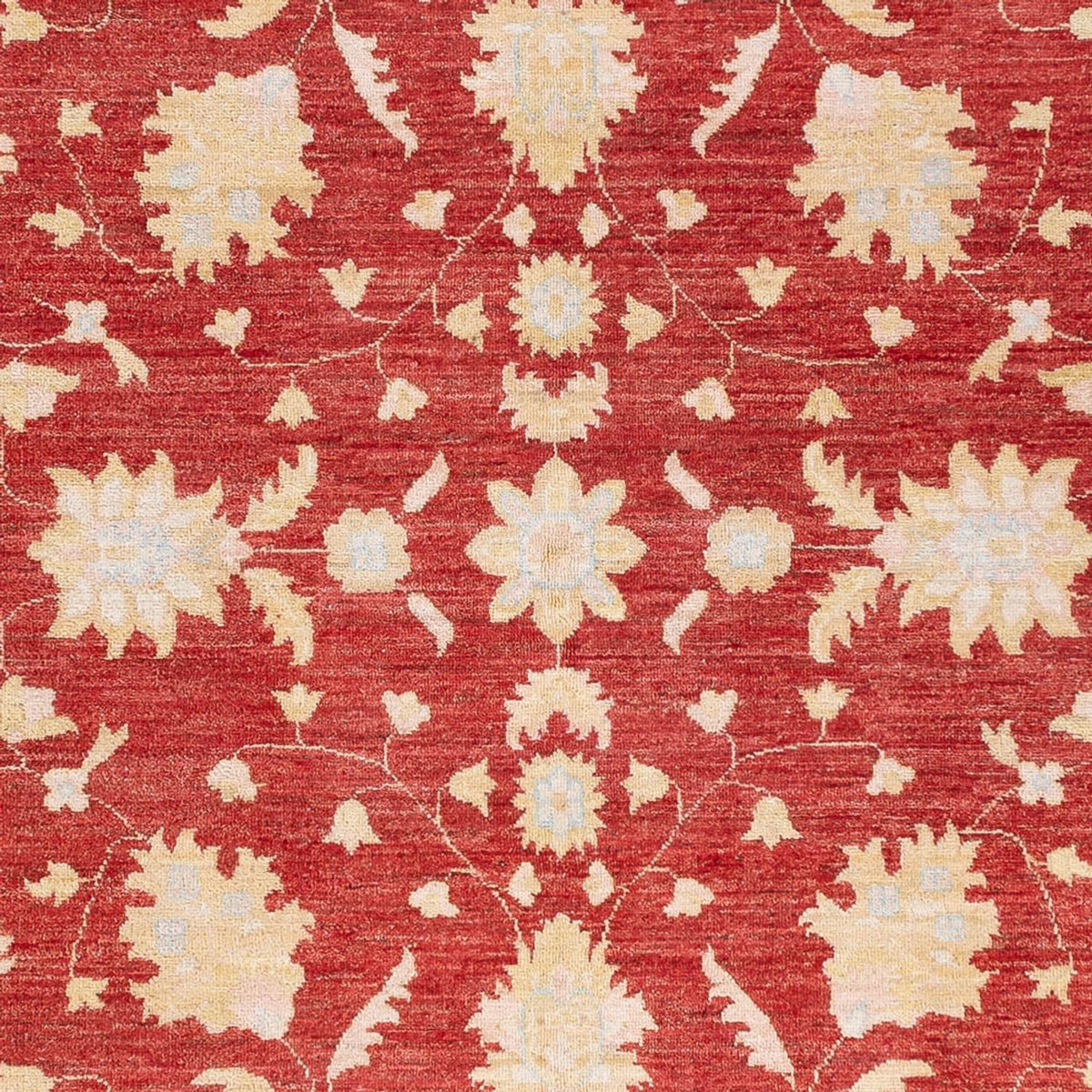 Ziegler Rug - 234 x 172 cm - red