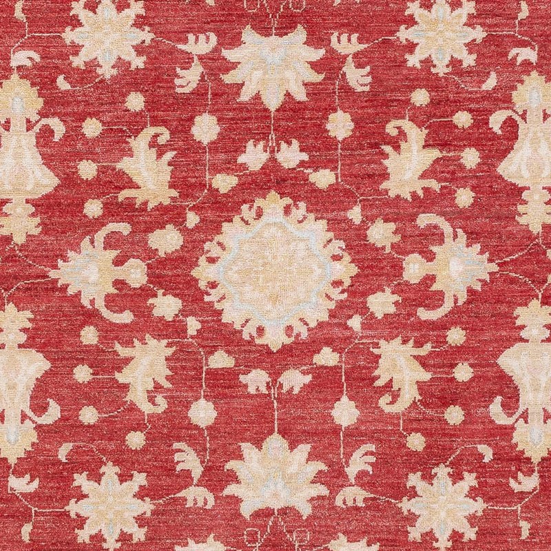 Ziegler Rug - 239 x 177 cm - red